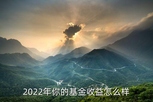 2022年你的基金收益怎么樣