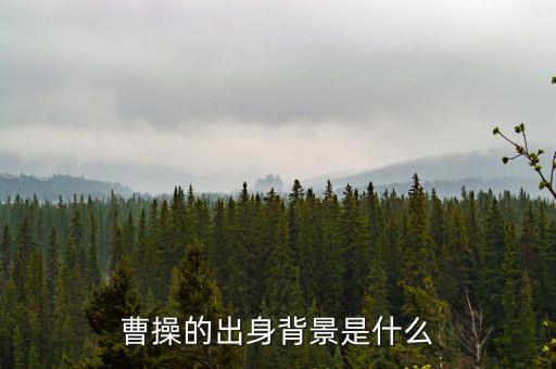 田國立什么背景,白冰有什么背景