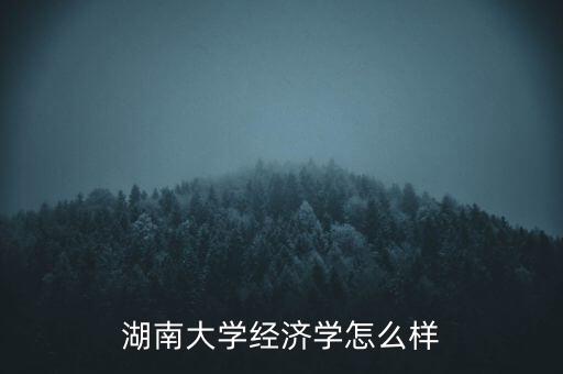 湖南大學經(jīng)濟學怎么樣