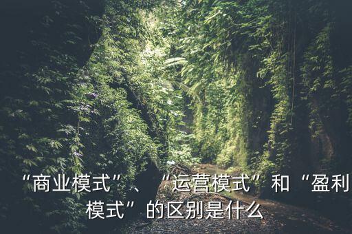 運(yùn)營模式是指什么,什么是商業(yè)模式