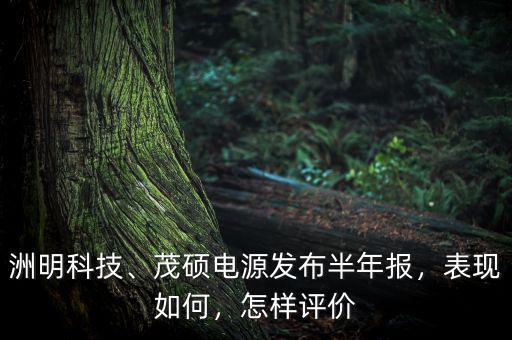 洲明科技、茂碩電源發(fā)布半年報，表現(xiàn)如何，怎樣評價