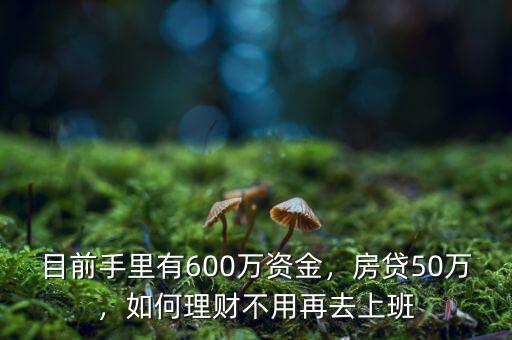 目前手里有600萬(wàn)資金，房貸50萬(wàn)，如何理財(cái)不用再去上班