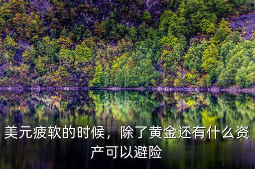 美元疲軟的時候，除了黃金還有什么資產(chǎn)可以避險