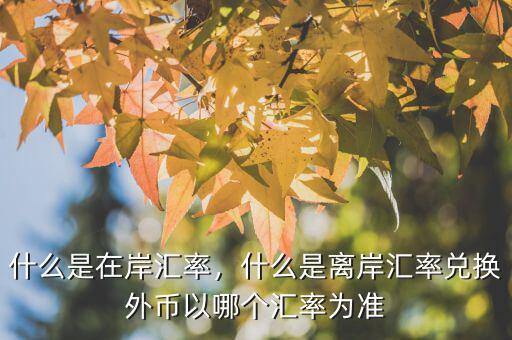 什么是在岸匯率，什么是離岸匯率兌換外幣以哪個匯率為準(zhǔn)