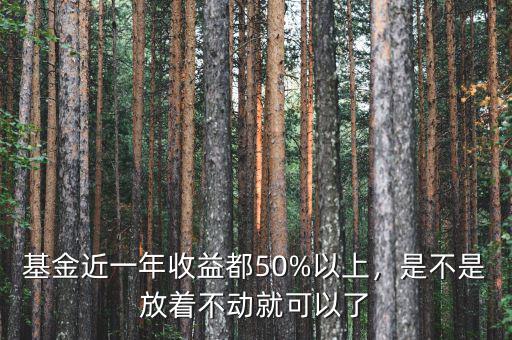 基金近一年收益都50%以上，是不是放著不動(dòng)就可以了