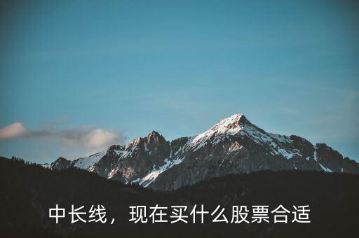 長(zhǎng)線投資什么股票最好,現(xiàn)在買(mǎi)什么股票合適