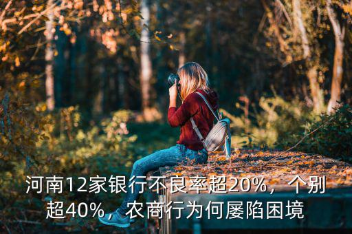 河南12家銀行不良率超20%，個別超40%，農(nóng)商行為何屢陷困境