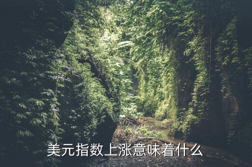 美元指數(shù)有什么用,美元指數(shù)上漲意味著什么