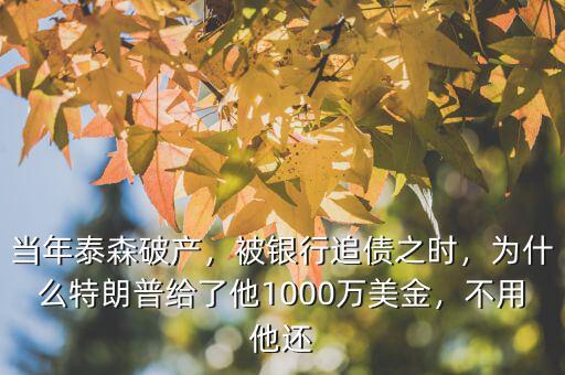 當(dāng)年泰森破產(chǎn)，被銀行追債之時，為什么特朗普給了他1000萬美金，不用他還