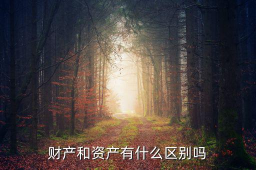 資產是什么意思,你知道什么是資產