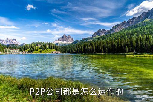 P2P公司都是怎么運作的