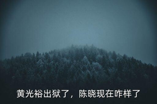 黃光裕出獄了，陳曉現(xiàn)在咋樣了