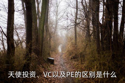 天使投資、VC以及PE的區(qū)別是什么