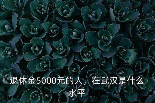 退休金5000元的人，在武漢是什么水平