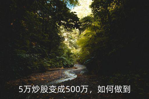 炒股200萬(wàn)怎么變成5000萬(wàn),炒股如何一年變成500萬(wàn)