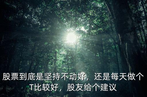 股票到底是堅持不動好，還是每天做個T比較好，股友給個建議