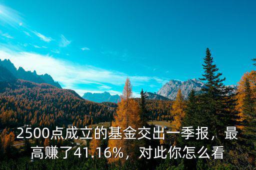 2500點(diǎn)成立的基金交出一季報(bào)，最高賺了41.16%，對(duì)此你怎么看