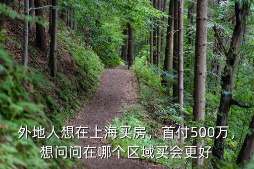 500萬(wàn)在上海買(mǎi)什么房子,想在上海買(mǎi)房