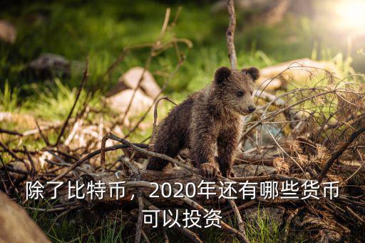 除了比特幣，2020年還有哪些貨幣可以投資