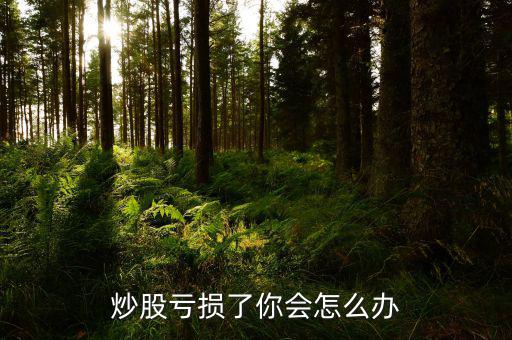 股票虧錢(qián)了怎么辦,炒股虧損了你會(huì)怎么辦