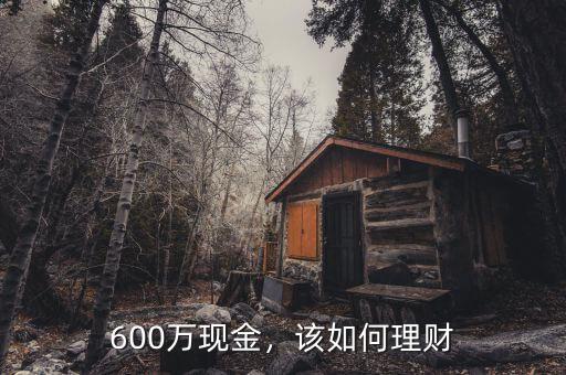 600萬現(xiàn)金，該如何理財