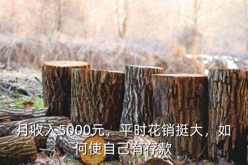 月收入5000元，平時花銷挺大，如何使自己有存款