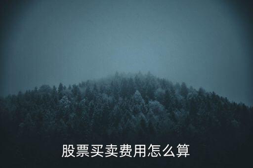 股票買(mǎi)入手續(xù)費(fèi)怎么算,股票買(mǎi)賣(mài)費(fèi)用怎么算