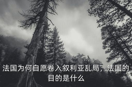 法國為何自愿卷入敘利亞亂局，法國的目的是什么