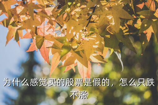 為什么感覺(jué)買(mǎi)的股票是假的，怎么只跌不漲