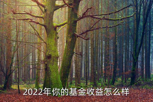 2022年你的基金收益怎么樣