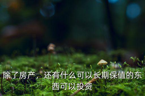 除了房產(chǎn)，還有什么可以長(zhǎng)期保值的東西可以投資