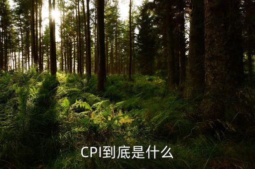 cpi是反映什么的指標,宏觀經(jīng)濟的四大指標是什么