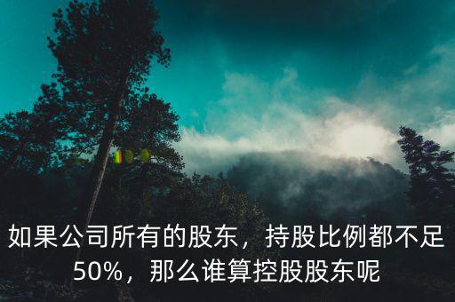 董事會持股比例怎么算的,董事會中是怎么分等級的