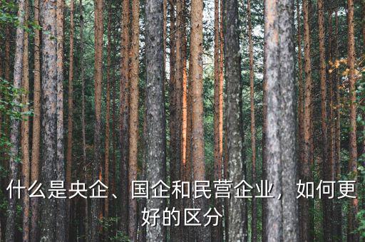 什么是央企、國企和民營企業(yè)，如何更好的區(qū)分