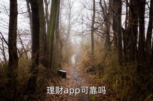 什么理財(cái)app比較可靠,理財(cái)app可靠嗎