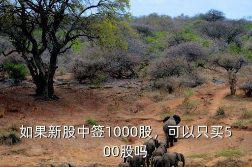 如果新股中簽1000股，可以只買500股嗎