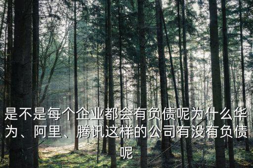 什么是適度負債,負債的本質(zhì)是什么