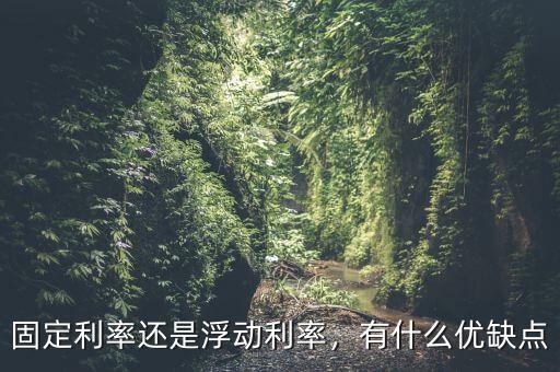 固定利率還是浮動(dòng)利率，有什么優(yōu)缺點(diǎn)