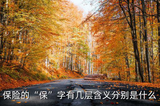 保險(xiǎn)的“保”字有幾層含義分別是什么