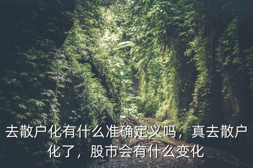 去散戶化有什么準(zhǔn)確定義嗎，真去散戶化了，股市會(huì)有什么變化