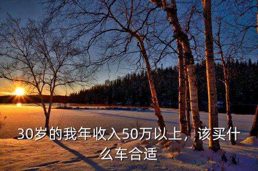 30歲的我年收入50萬以上，該買什么車合適