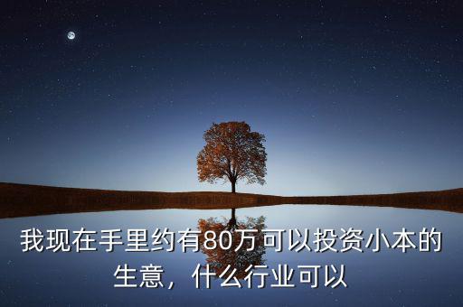 我現(xiàn)在手里約有80萬可以投資小本的生意，什么行業(yè)可以