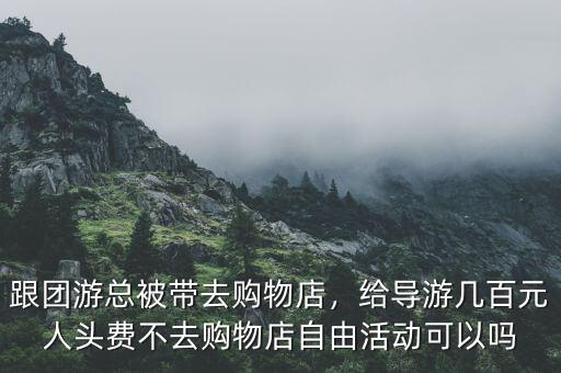 在購(gòu)物時(shí)導(dǎo)游有什么責(zé)任,將有什么責(zé)任