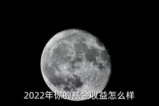 2022年你的基金收益怎么樣