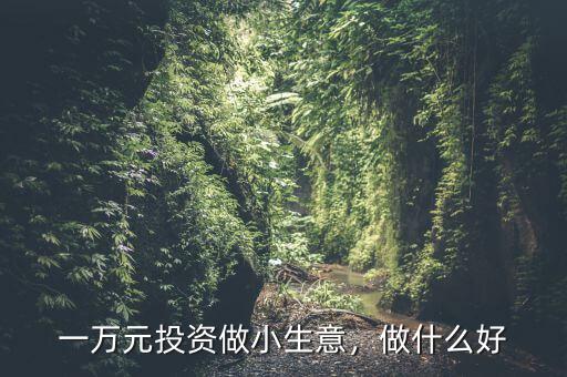 一萬(wàn)元投資做小生意，做什么好