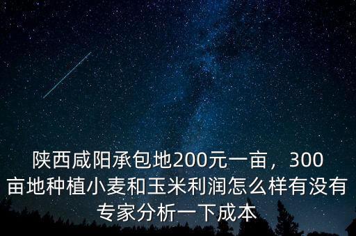 陜西咸陽承包地200元一畝，300畝地種植小麥和玉米利潤怎么樣有沒有專家分析一下成本