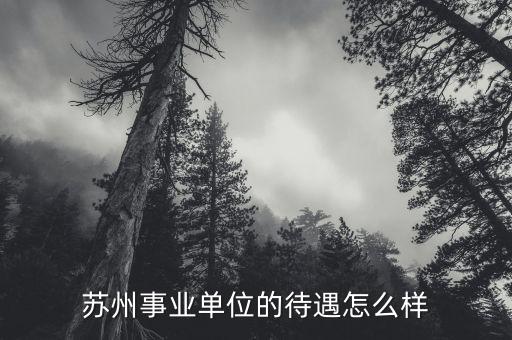 蘇州事業(yè)單位的待遇怎么樣