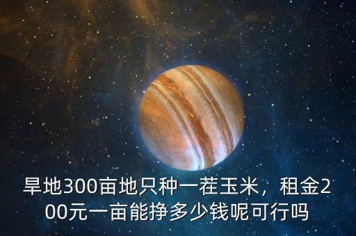 旱地300畝地只種一茬玉米，租金200元一畝能掙多少錢呢可行嗎