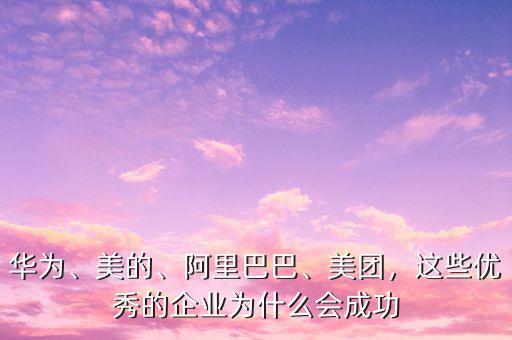 過去的中國(guó)企業(yè)為什么能如此成功,這些優(yōu)秀的企業(yè)為什么會(huì)成功