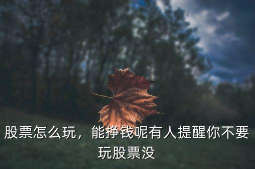 股票怎么玩，能掙錢呢有人提醒你不要玩股票沒